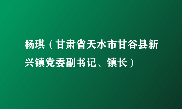 杨琪（甘肃省天水市甘谷县新兴镇党委副书记、镇长）