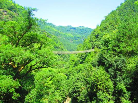 山重水复疑无路，柳暗花明又一村