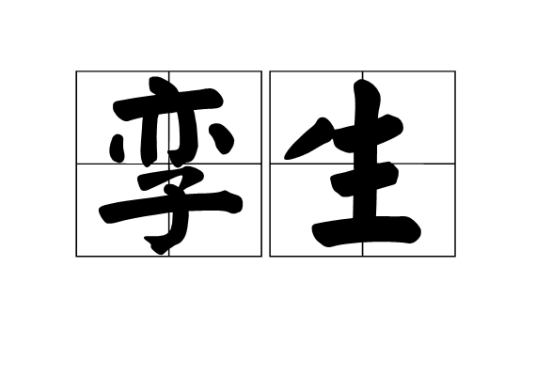 孪生（汉语词语）