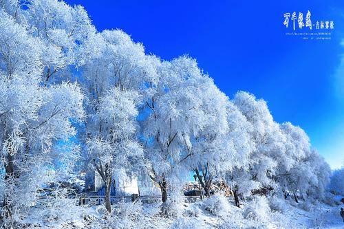 吉林国际雾凇冰雪节