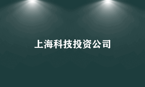 上海科技投资公司