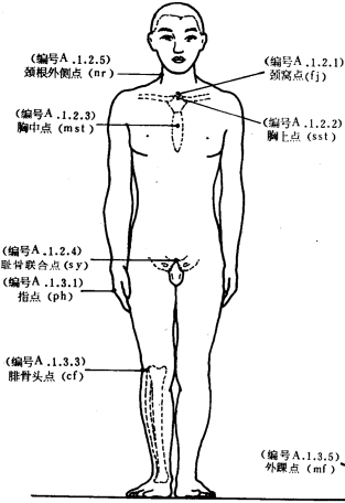 颈窝点