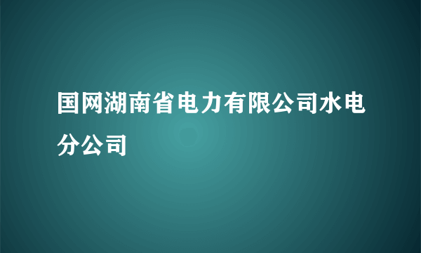 国网湖南省电力有限公司水电分公司