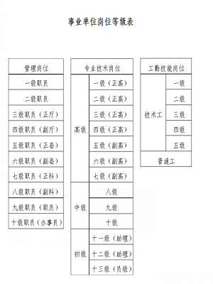 五级职员