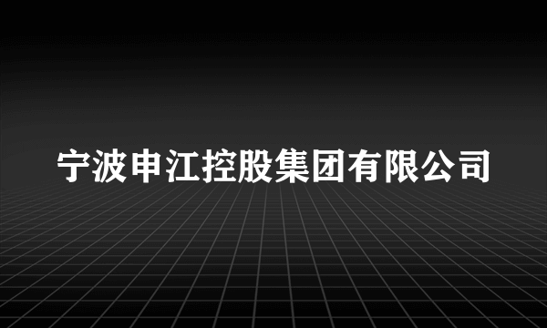 宁波申江控股集团有限公司