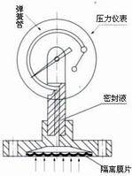 不锈钢隔膜压力表