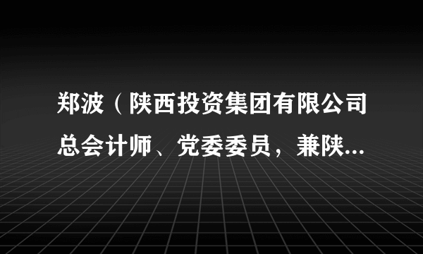 郑波（陕西投资集团有限公司总会计师、党委委员，兼陕西投资集团财务有限责任公司董事长）