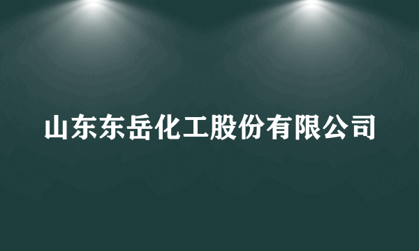 山东东岳化工股份有限公司