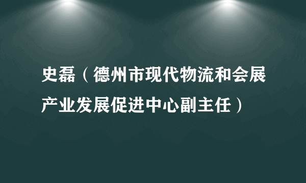 史磊（德州市现代物流和会展产业发展促进中心副主任）