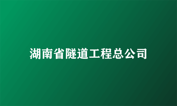 湖南省隧道工程总公司