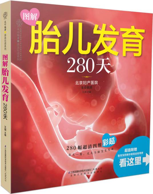 图解胎儿发育280天