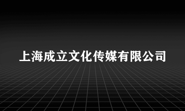 上海成立文化传媒有限公司