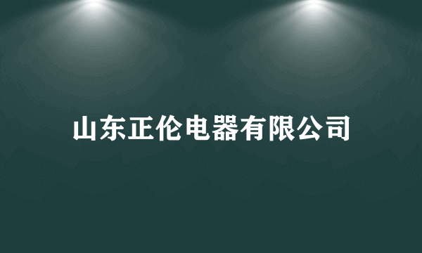 山东正伦电器有限公司