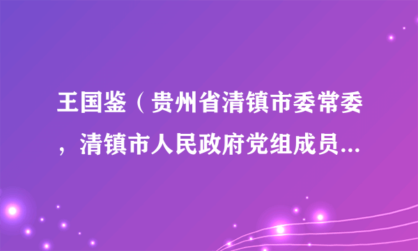 王国鉴（贵州省清镇市委常委，清镇市人民政府党组成员、副市长，三级调研员）