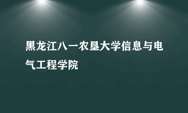 黑龙江八一农垦大学信息与电气工程学院