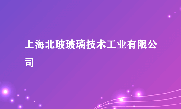 上海北玻玻璃技术工业有限公司