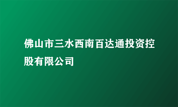 佛山市三水西南百达通投资控股有限公司