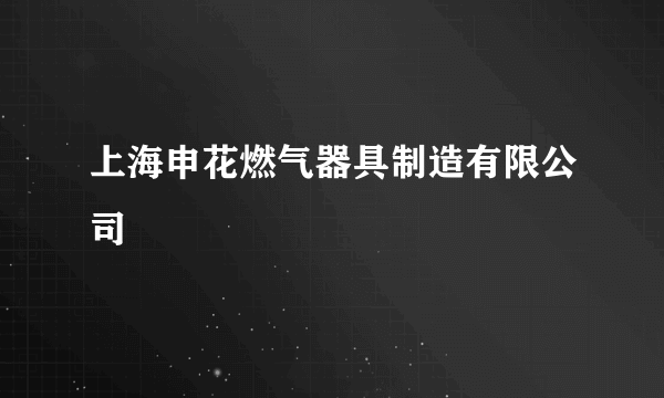 上海申花燃气器具制造有限公司