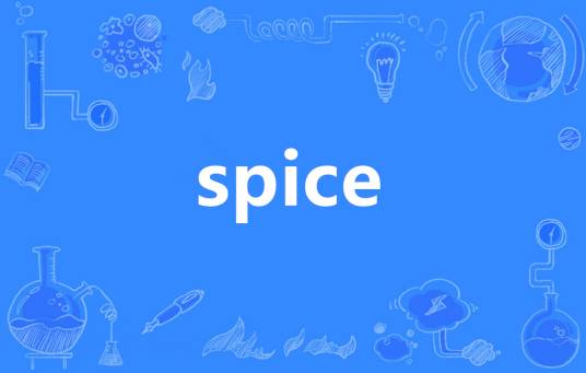 spice（英语单词）