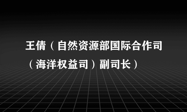 王倩（自然资源部国际合作司（海洋权益司）副司长）