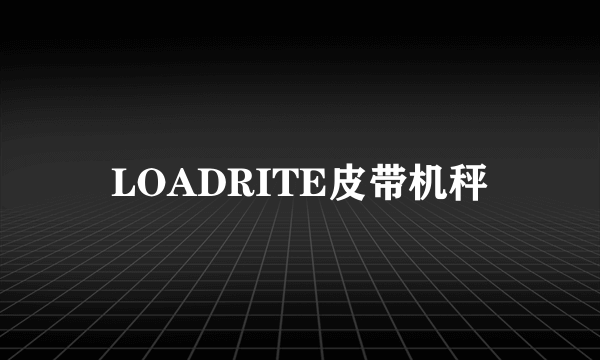 LOADRITE皮带机秤