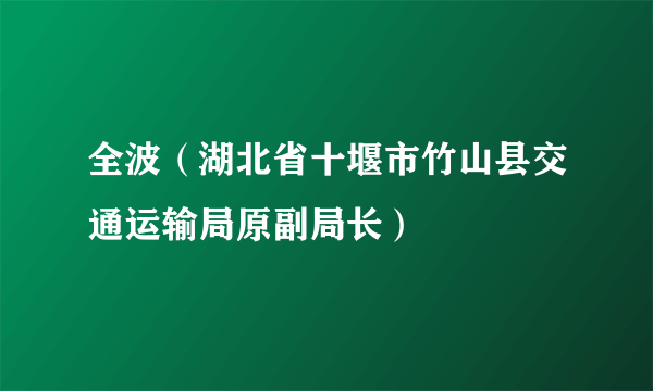 全波（湖北省十堰市竹山县交通运输局原副局长）