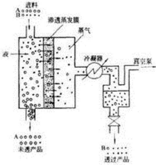 渗透气化膜分离技术