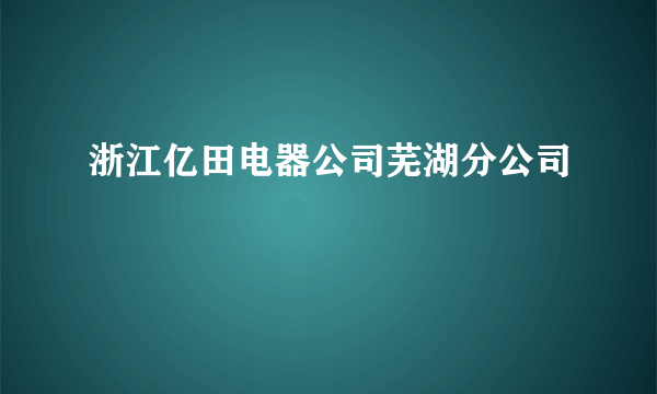 浙江亿田电器公司芜湖分公司