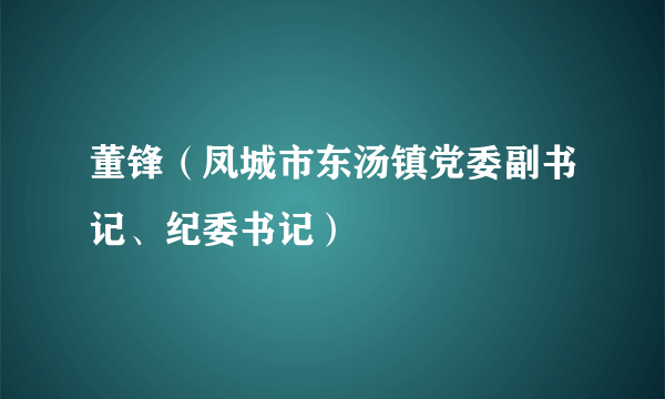 董锋（凤城市东汤镇党委副书记、纪委书记）