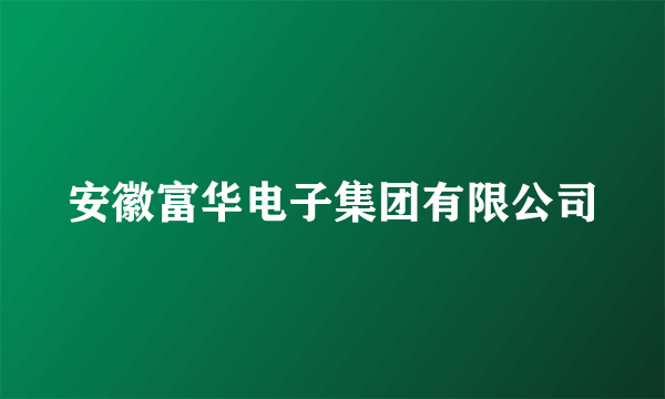 安徽富华电子集团有限公司