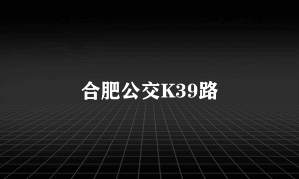 合肥公交K39路