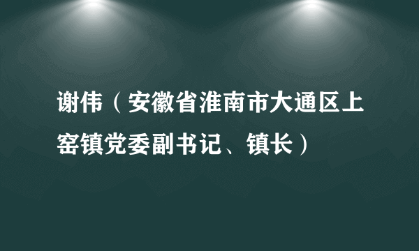 谢伟（安徽省淮南市大通区上窑镇党委副书记、镇长）