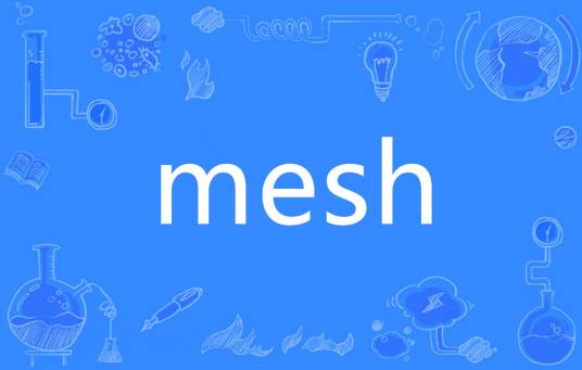 mesh（英语单词）