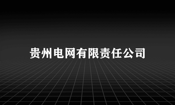 贵州电网有限责任公司