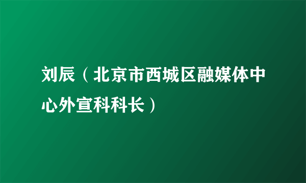 刘辰（北京市西城区融媒体中心外宣科科长）