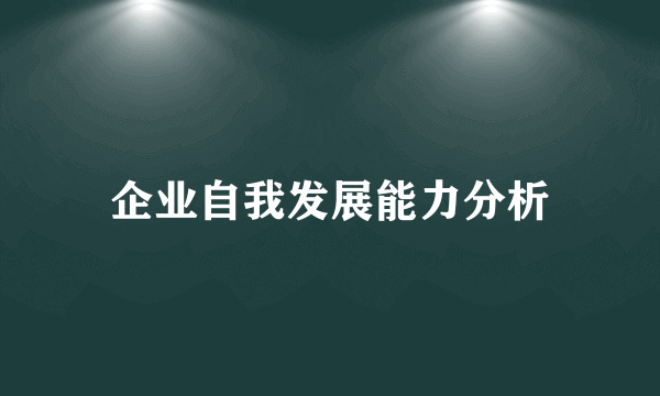 企业自我发展能力分析