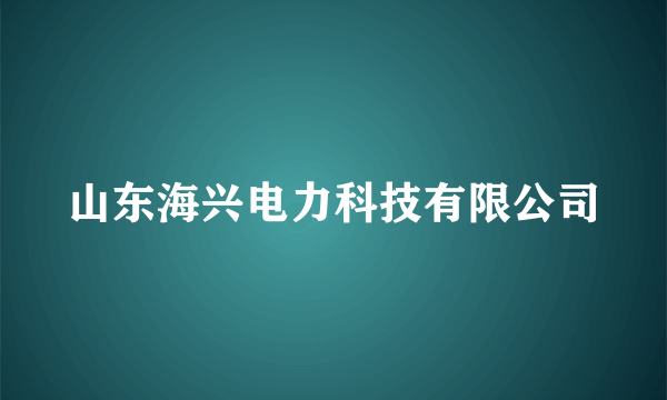 山东海兴电力科技有限公司