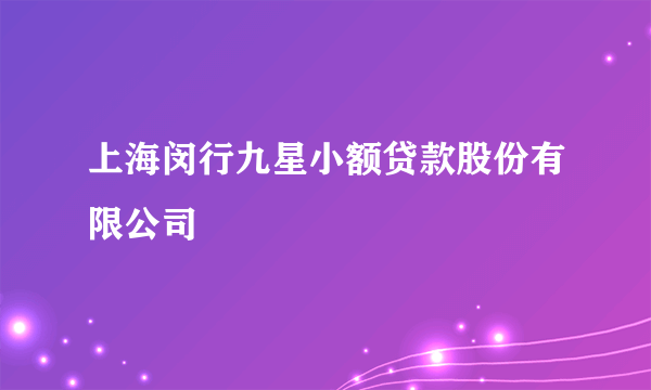 上海闵行九星小额贷款股份有限公司