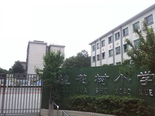 桂花树小学