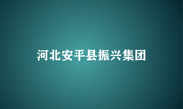 河北安平县振兴集团