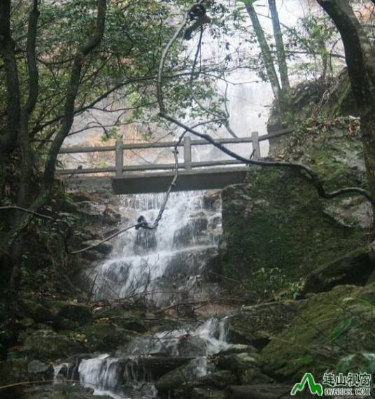 金子山原生态休闲度假旅游景区