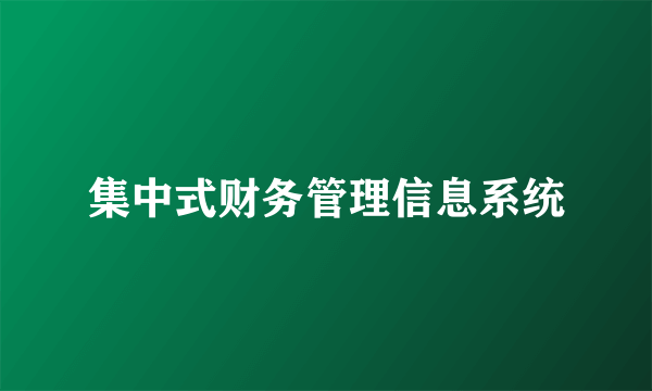 集中式财务管理信息系统