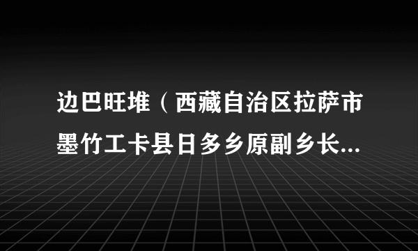 边巴旺堆（西藏自治区拉萨市墨竹工卡县日多乡原副乡长、怎村党总支第一书记）