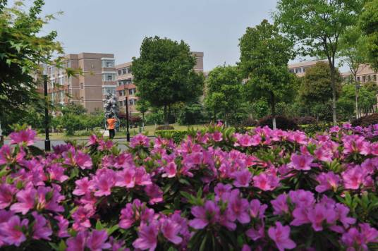 凤鸣高中学生会