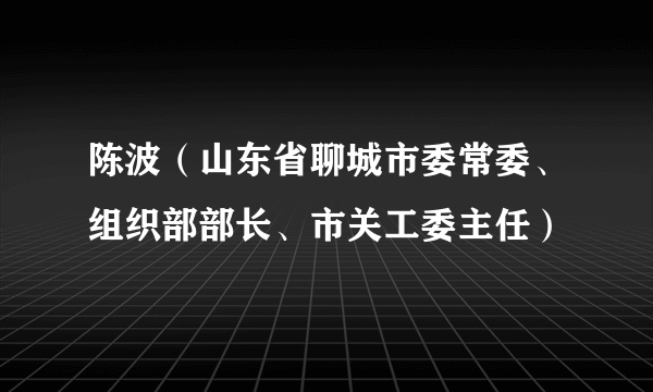 陈波（山东省聊城市委常委、组织部部长、市关工委主任）