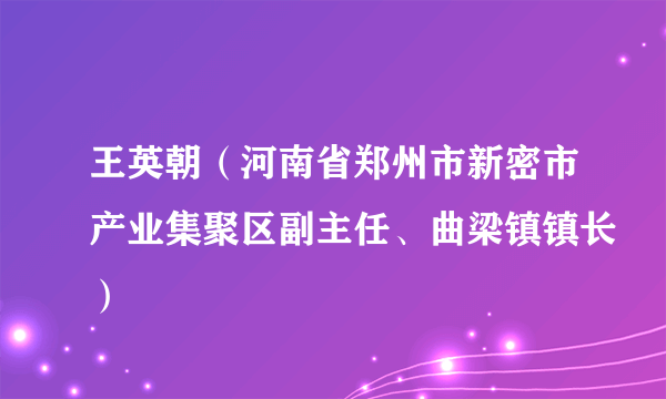 王英朝（河南省郑州市新密市产业集聚区副主任、曲梁镇镇长）