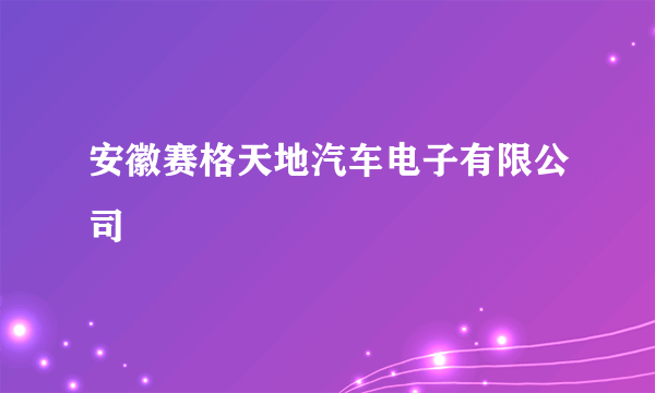 安徽赛格天地汽车电子有限公司