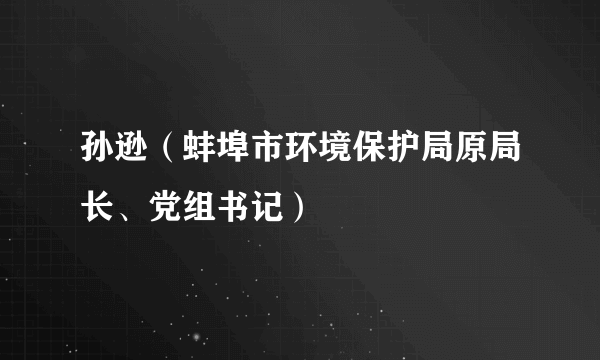 孙逊（蚌埠市环境保护局原局长、党组书记）