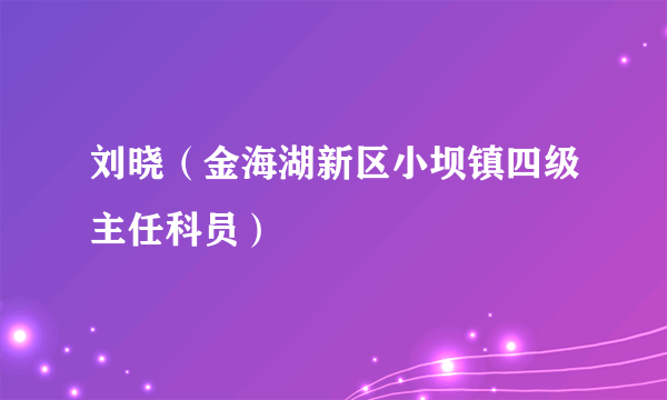 刘晓（金海湖新区小坝镇四级主任科员）