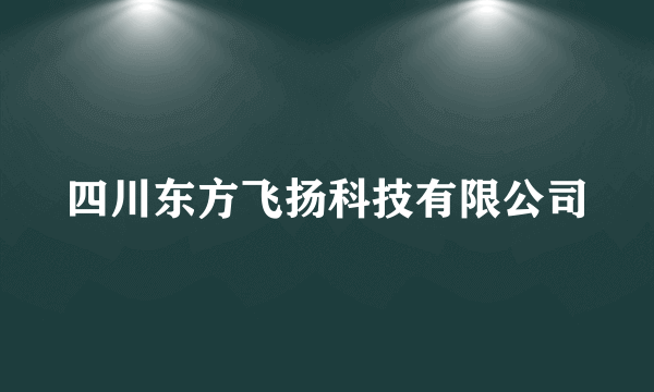 四川东方飞扬科技有限公司